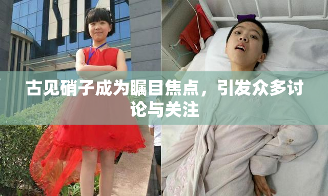 古见硝子成为瞩目焦点，引发众多讨论与关注