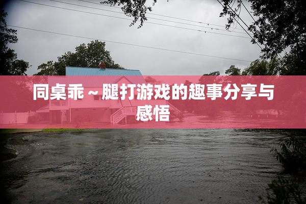 同桌乖～腿打游戏的趣事分享与感悟
