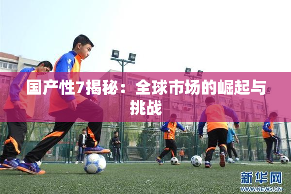 国产性7揭秘：全球市场的崛起与挑战