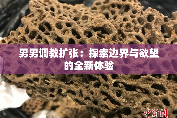 男男调教扩张：探索边界与欲望的全新体验