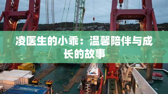凌医生的小乖：温馨陪伴与成长的故事