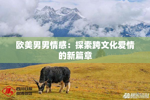 欧美男男情感：探索跨文化爱情的新篇章