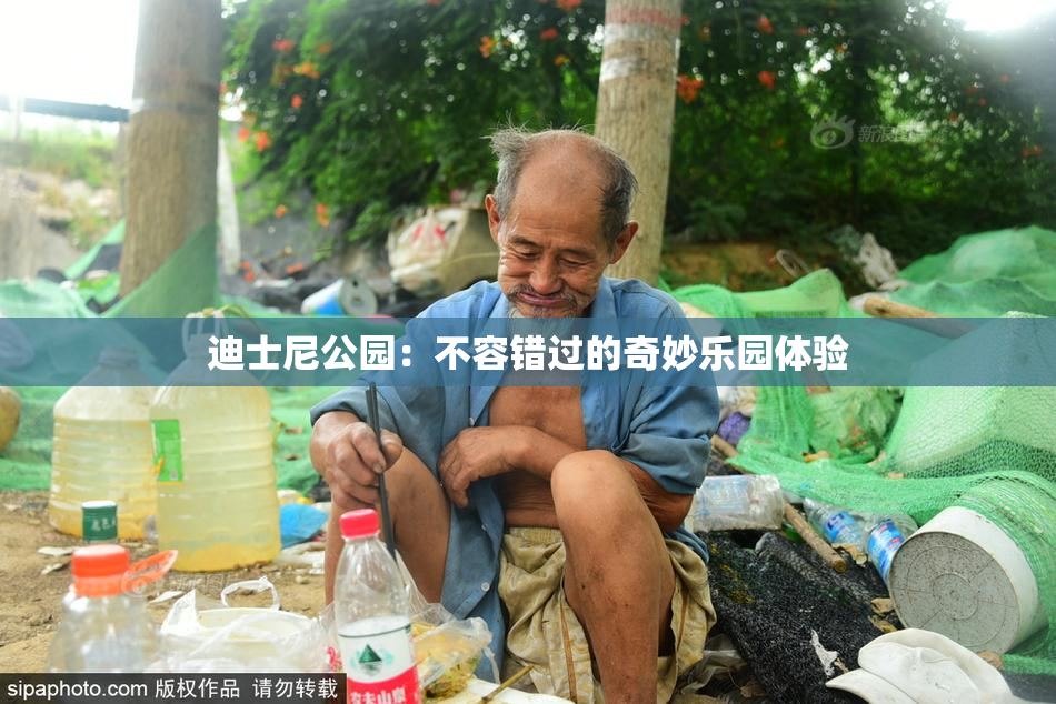 迪士尼公园：不容错过的奇妙乐园体验