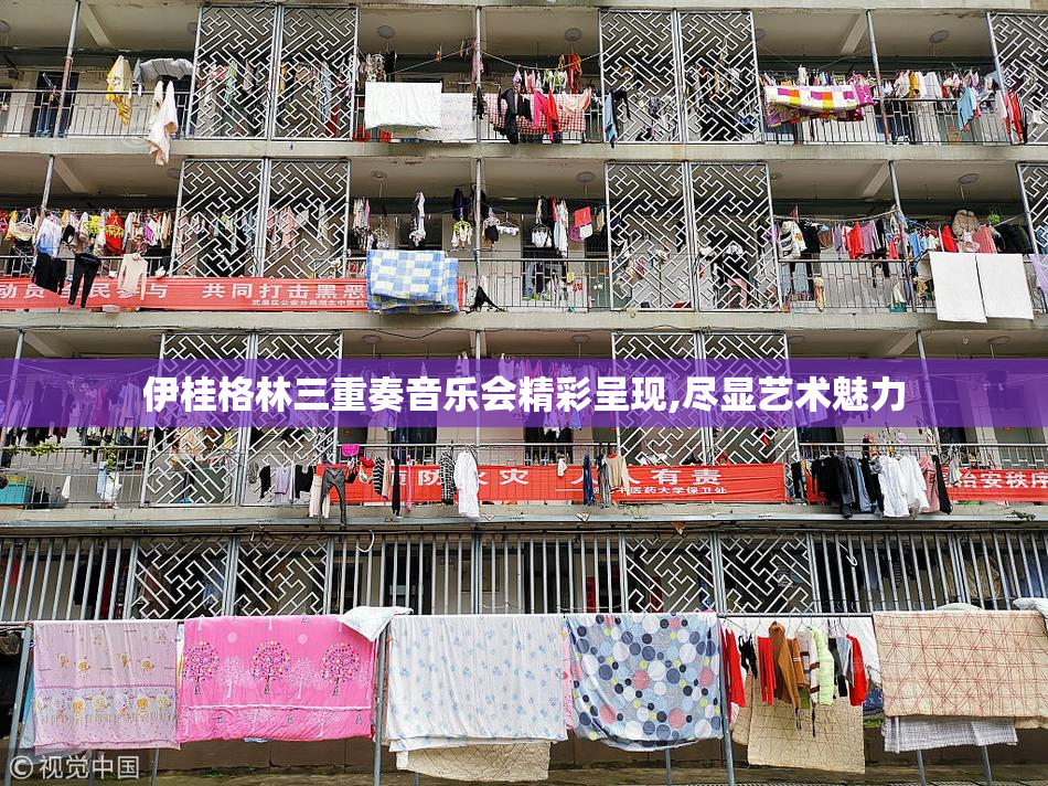 伊桂格林三重奏音乐会精彩呈现,尽显艺术魅力