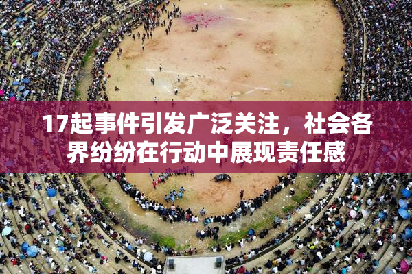 17起事件引发广泛关注，社会各界纷纷在行动中展现责任感