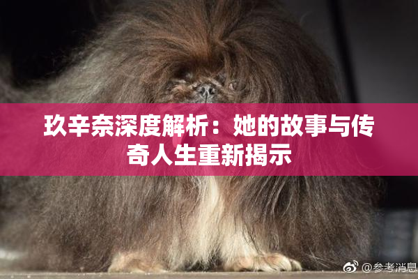 玖辛奈深度解析：她的故事与传奇人生重新揭示