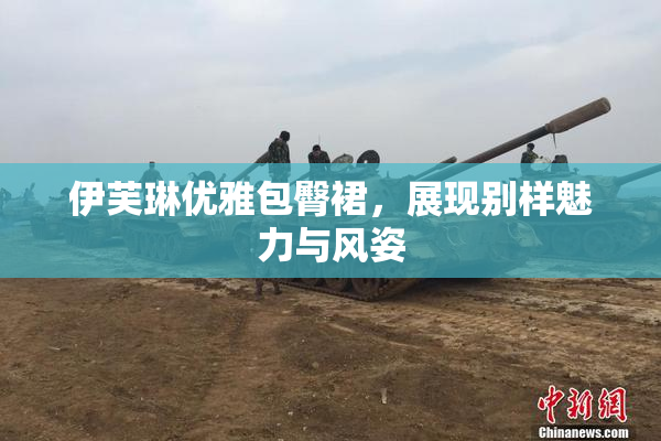 伊芙琳优雅包臀裙，展现别样魅力与风姿