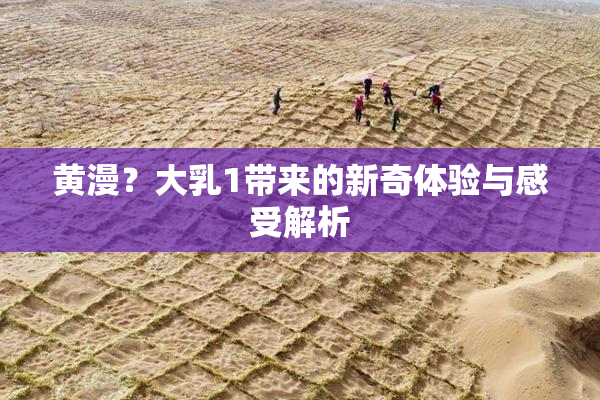 黄漫？大乳1带来的新奇体验与感受解析