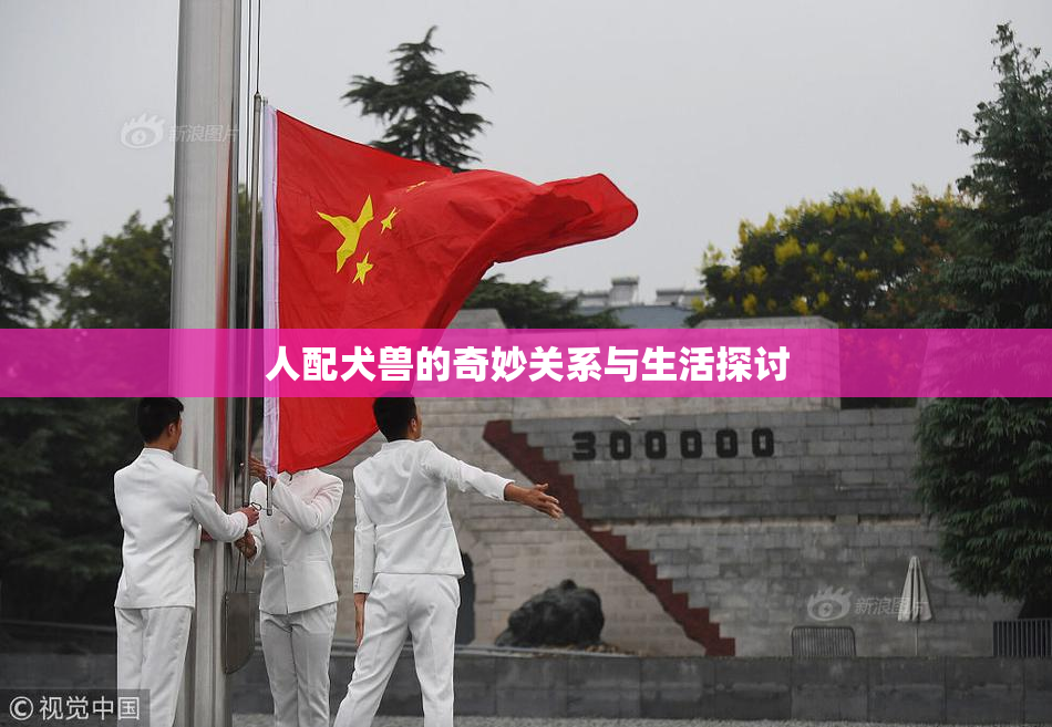 人配犬兽的奇妙关系与生活探讨