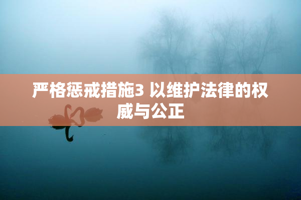 严格惩戒措施3 以维护法律的权威与公正