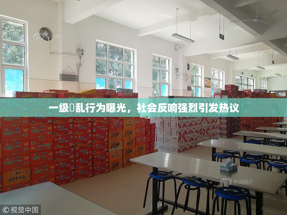 一级婬乱行为曝光，社会反响强烈引发热议