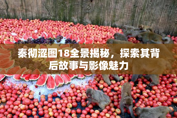 秦彻涩图18全景揭秘，探索其背后故事与影像魅力