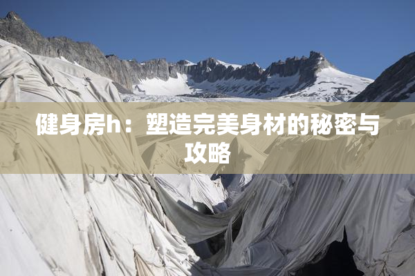健身房h：塑造完美身材的秘密与攻略
