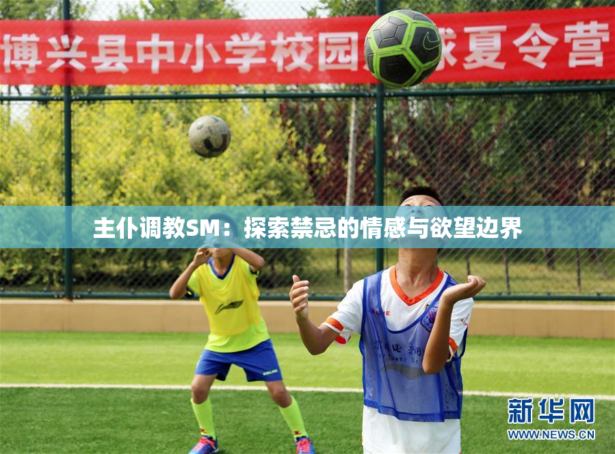 主仆调教SM：探索禁忌的情感与欲望边界