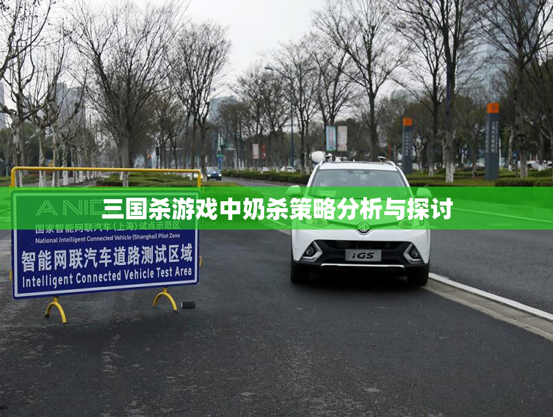 三国杀游戏中奶杀策略分析与探讨