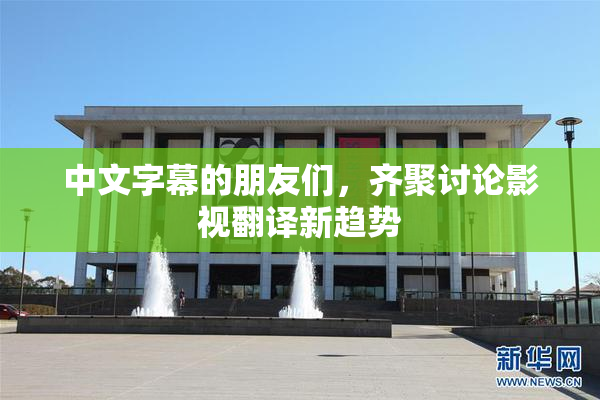 中文字幕的朋友们，齐聚讨论影视翻译新趋势