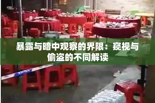 暴露与暗中观察的界限：窥视与偷盗的不同解读