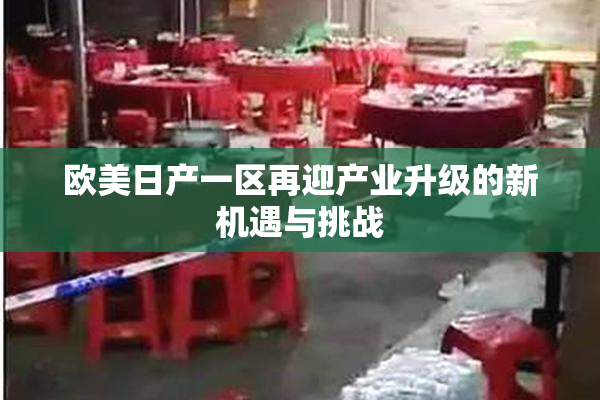 欧美日产一区再迎产业升级的新机遇与挑战