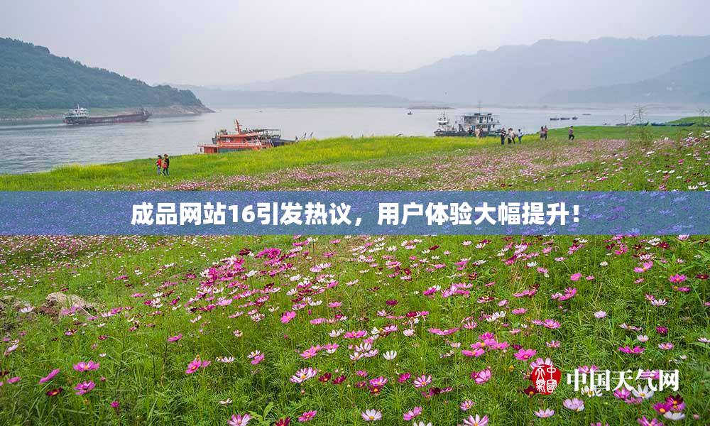 成品网站16引发热议，用户体验大幅提升！
