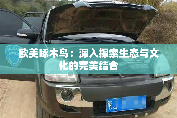 欧美啄木鸟：深入探索生态与文化的完美结合