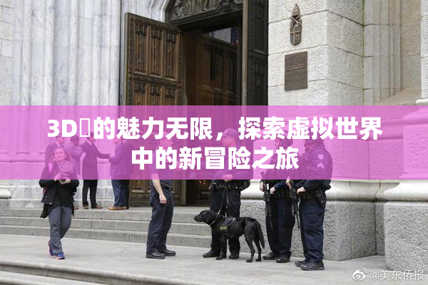 3D姉的魅力无限，探索虚拟世界中的新冒险之旅