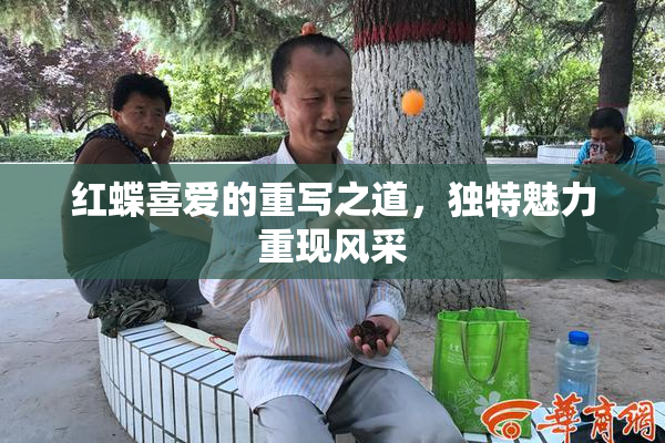 红蝶喜爱的重写之道，独特魅力重现风采