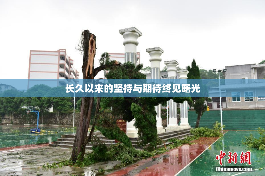 长久以来的坚持与期待终见曙光