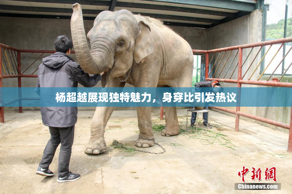 杨超越展现独特魅力，身穿比引发热议