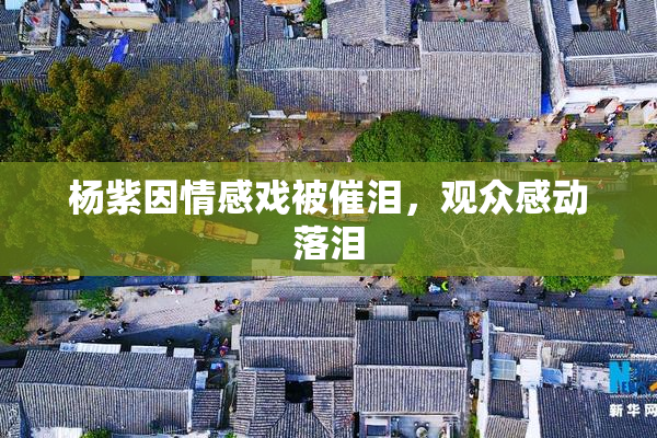 杨紫因情感戏被催泪，观众感动落泪