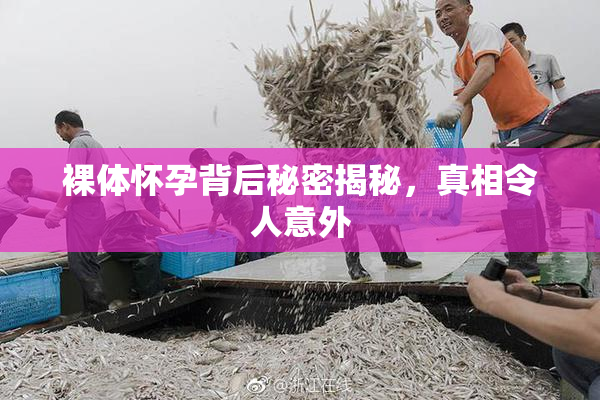 裸体怀孕背后秘密揭秘，真相令人意外