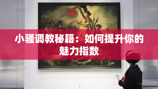 小骚调教秘籍：如何提升你的魅力指数