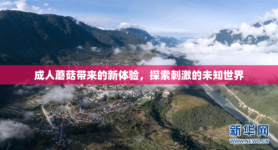 成人蘑菇带来的新体验，探索刺激的未知世界