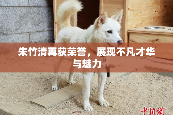 朱竹清再获荣誉，展现不凡才华与魅力