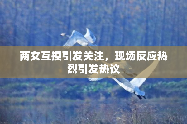 两女互摸引发关注，现场反应热烈引发热议