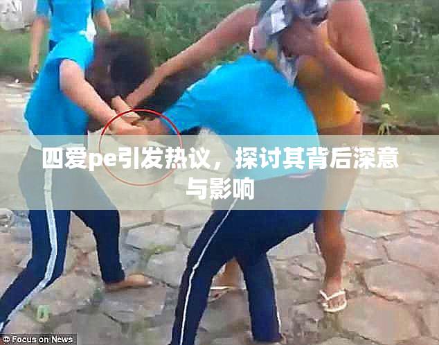 四爱pe引发热议，探讨其背后深意与影响