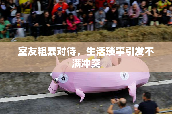 室友粗暴对待，生活琐事引发不满冲突
