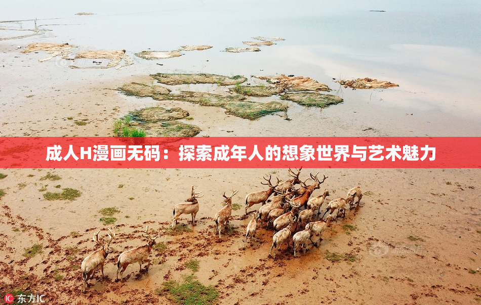 成人H漫画无码：探索成年人的想象世界与艺术魅力