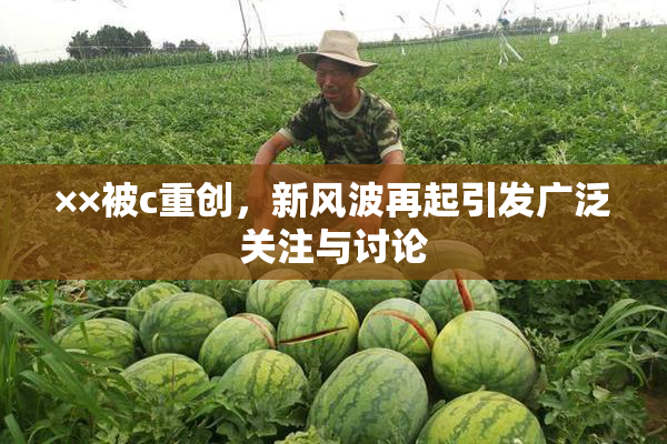 ××被c重创，新风波再起引发广泛关注与讨论
