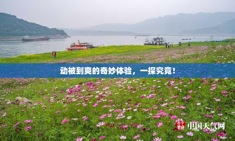 动被到爽的奇妙体验，一探究竟！