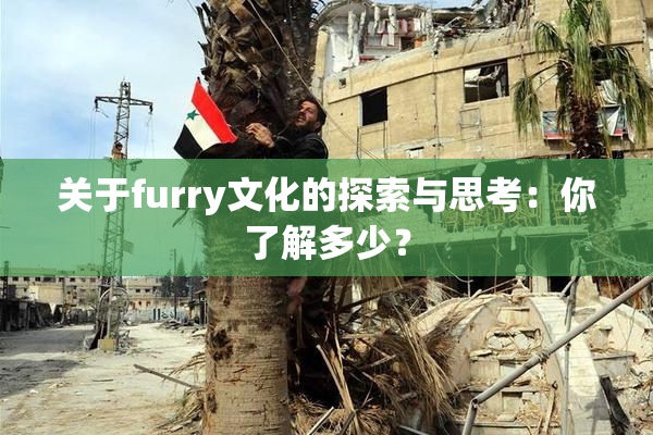 关于furry文化的探索与思考：你了解多少？
