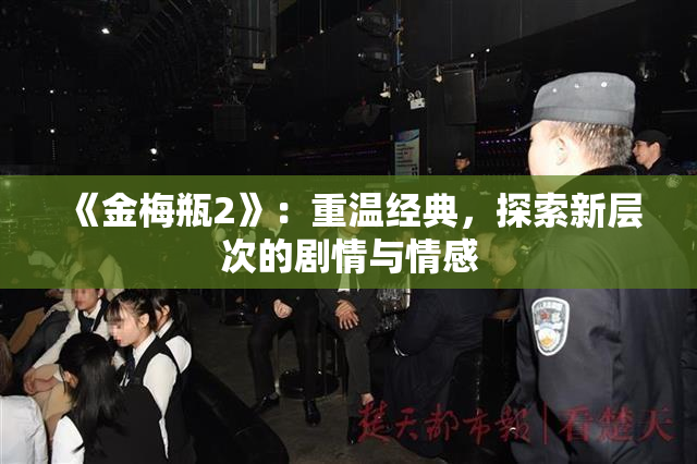 《金梅瓶2》：重温经典，探索新层次的剧情与情感