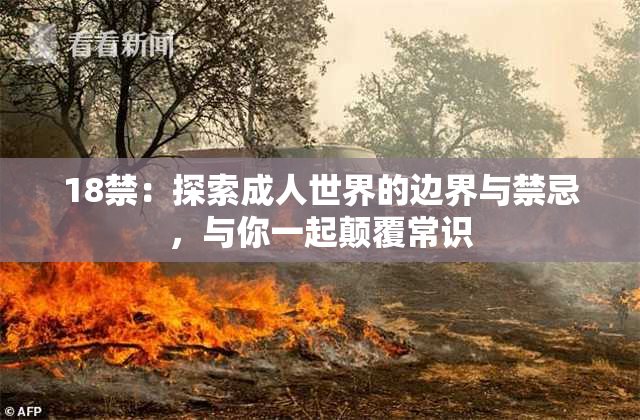 18禁：探索成人世界的边界与禁忌，与你一起颠覆常识