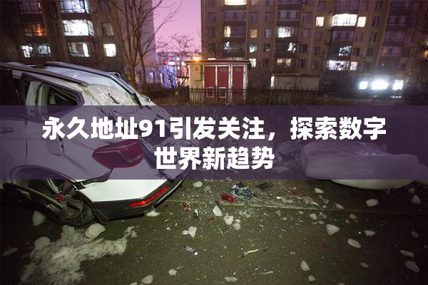 永久地址91引发关注，探索数字世界新趋势