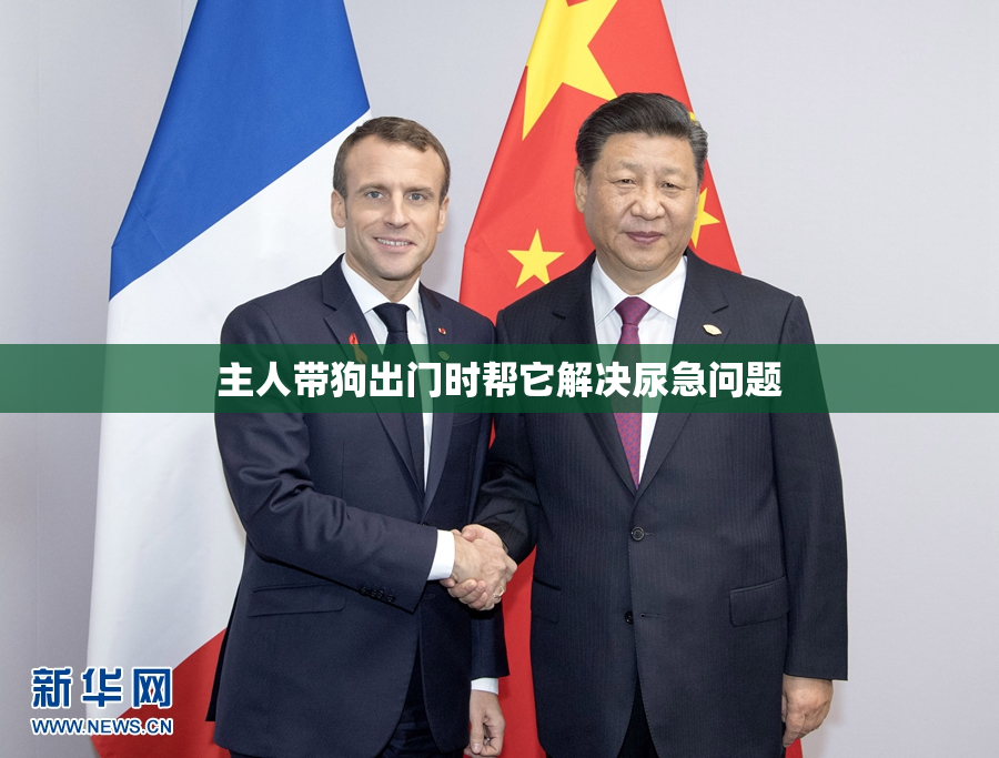 主人带狗出门时帮它解决尿急问题