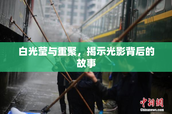 白光莹与重聚，揭示光影背后的故事