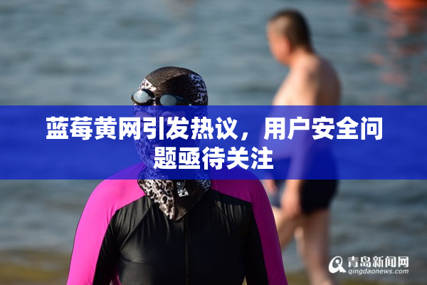 蓝莓黄网引发热议，用户安全问题亟待关注