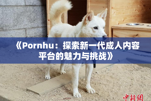 《Pornhu：探索新一代成人内容平台的魅力与挑战》