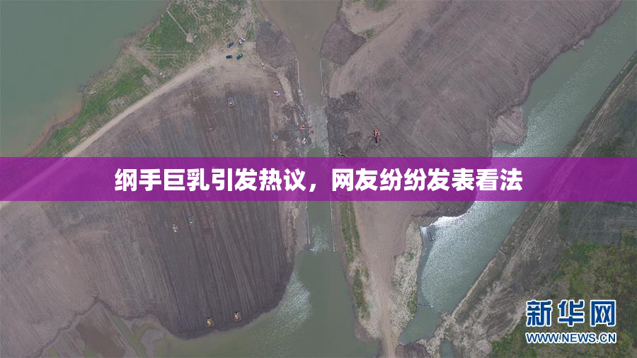 纲手巨乳引发热议，网友纷纷发表看法