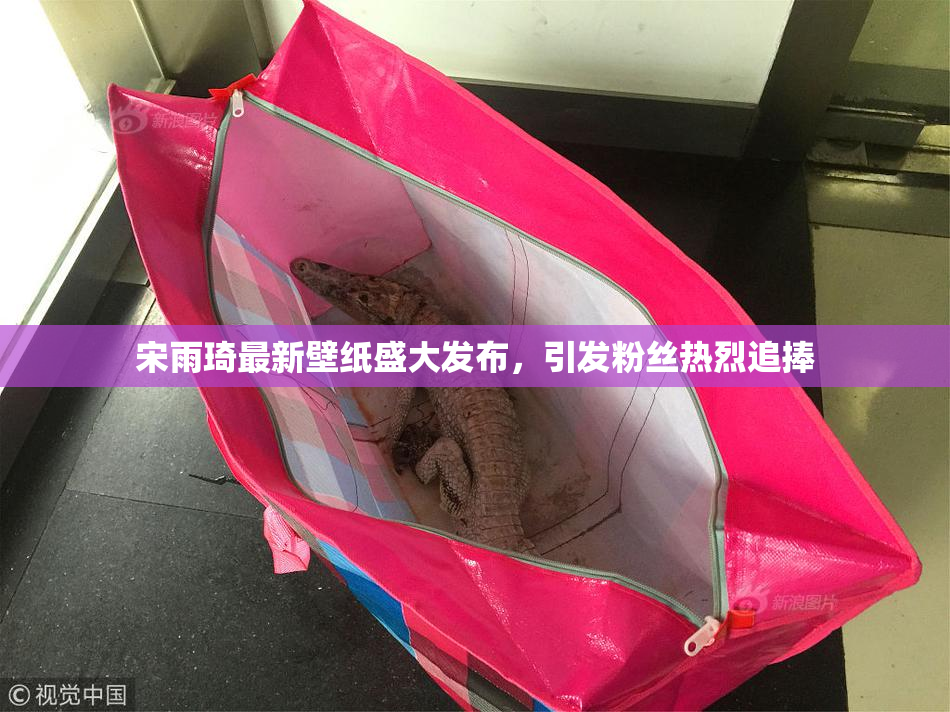 宋雨琦最新壁纸盛大发布，引发粉丝热烈追捧