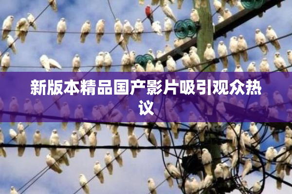 新版本精品国产影片吸引观众热议